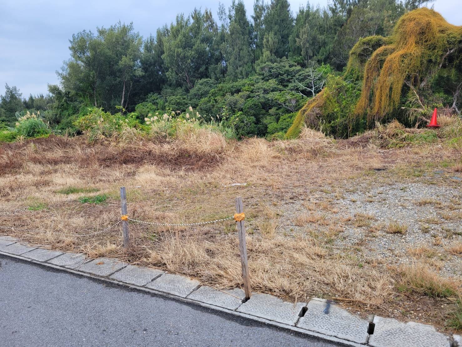 1642478596161